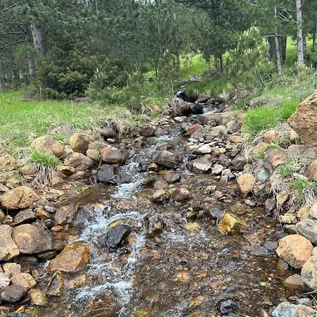 3 Vellezerit Doci Fushe-Lure