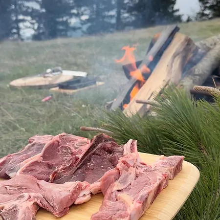 3 Vellezerit Doci Pensjonat *