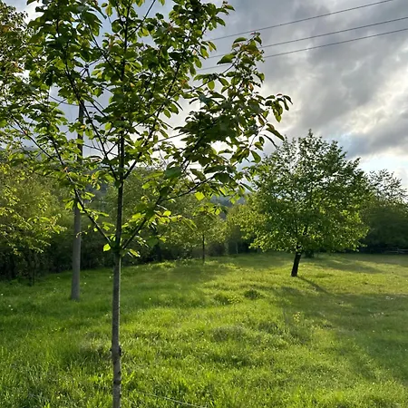 Casa de hóspedes 3 Vellezerit Doci Fushe-Lure