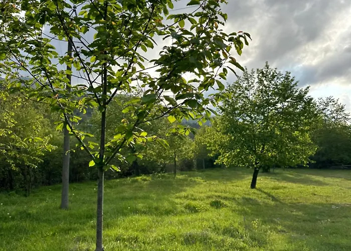 Casa de hóspedes 3 Vellezerit Doci Fushe-Lure