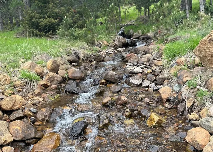 3 Vellezerit Doci Fushe-Lure